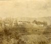 1917-1918 ca. - Campagna toscana